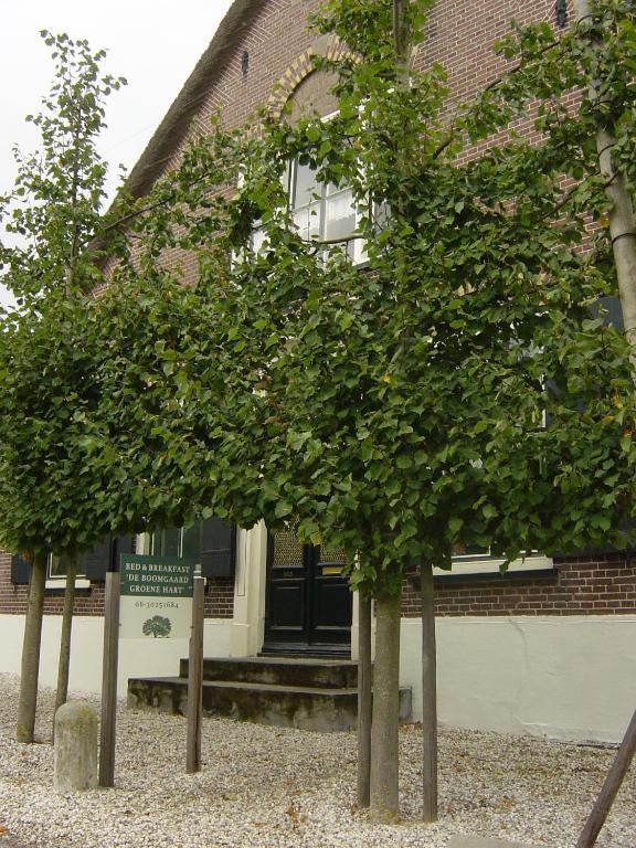 De Boomgaard Groene Hart Polsbroekerdam Exterior foto